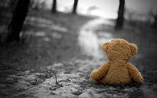 brown bear plush toy, teddy bears, selective coloring, depth of field, monochrome