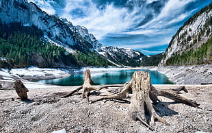 brown driftwood, nature, mountains, lake, HDR HD wallpaper