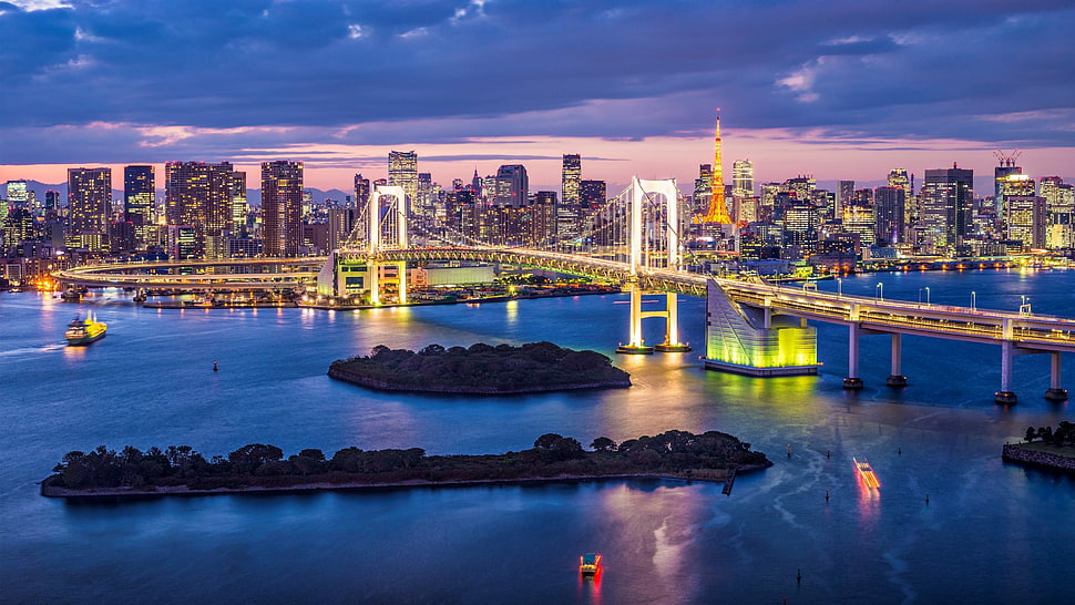 white suspension bridge, Tokyo, Japan, city, bridge HD wallpaper
