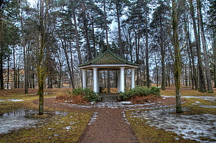white and green concrete park