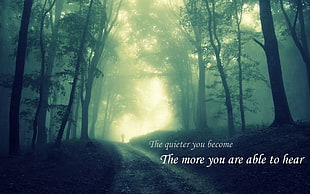 quote poster, jungle, backtrack, silent, quote HD wallpaper