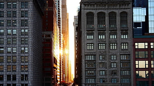 gray concrete high-rise building, Chicago, building, Sun, architecture