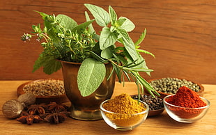 yellow and brown powder, plants, nuts, spices