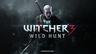 The Witcher's Wind Hunt poster, The Witcher, The Witcher 3: Wild Hunt, video games HD wallpaper