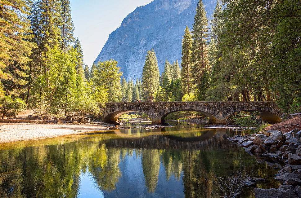 brown bridge, yosemite HD wallpaper