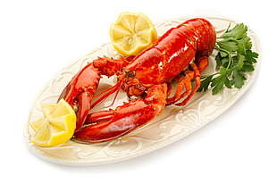 lobster with sliced lemons HD wallpaper