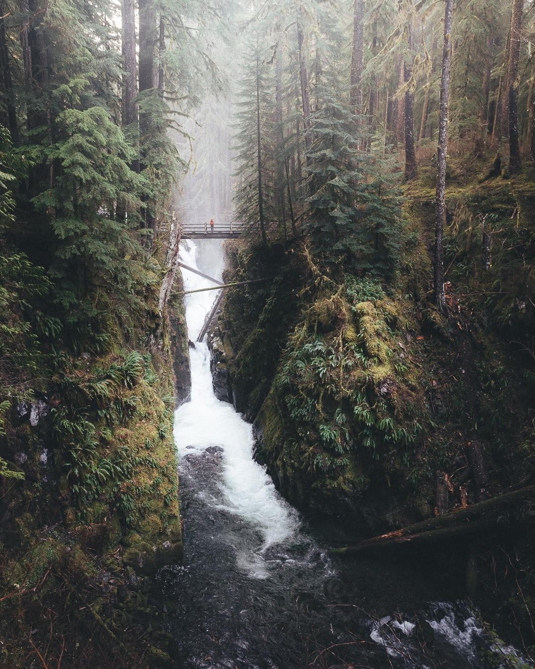 brown wooden footbridge, landscape, forest, waterfall