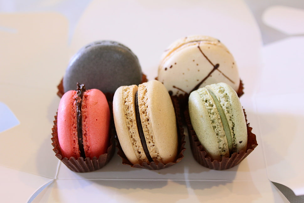 five assorted color cupcakes HD wallpaper