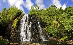 waterfalls surrounded with trees