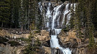 brown and green falls during daytime HD wallpaper