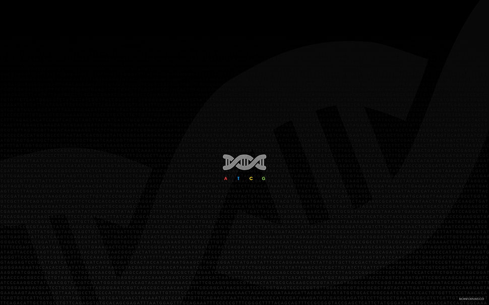 minimalism, DNA HD wallpaper