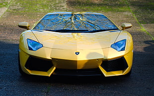 yellow Lamborghini aventador
