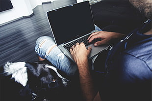 man using laptop on her lap HD wallpaper