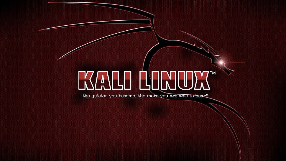 Kali Linux logo, Kali Linux HD wallpaper