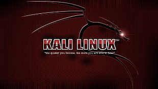 Kali Linux logo, Kali Linux HD wallpaper