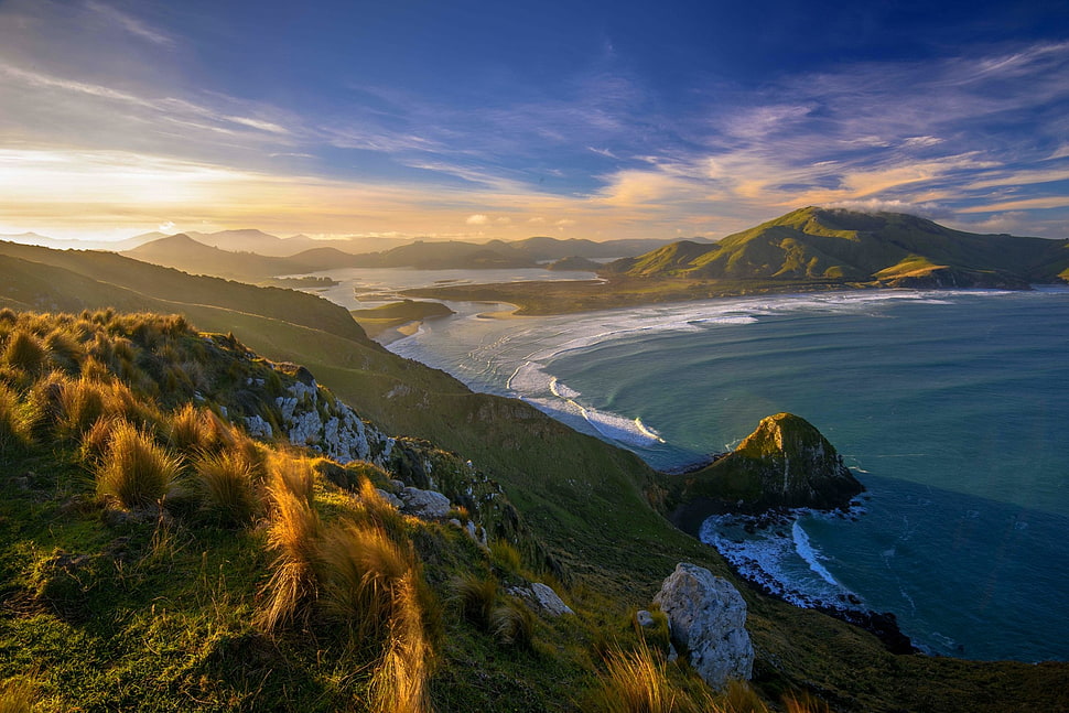 green grass, sunset, beach, grass, New Zealand HD wallpaper