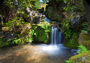 time lapsed photo of small water falls during daytime HD wallpaper