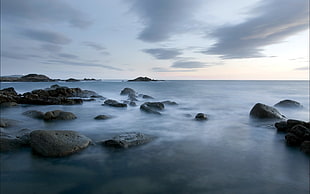 gray rocks, nature, sea, rock HD wallpaper
