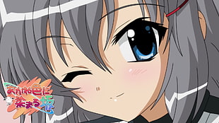 female anime character with gray hair digital wallpaper
