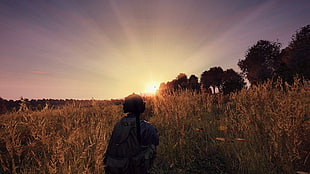 person walking on pampas plants at golden hour, video games, DayZ