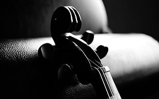 grayscale photo of violin headstock