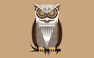 gray and brown owl illustration, owl