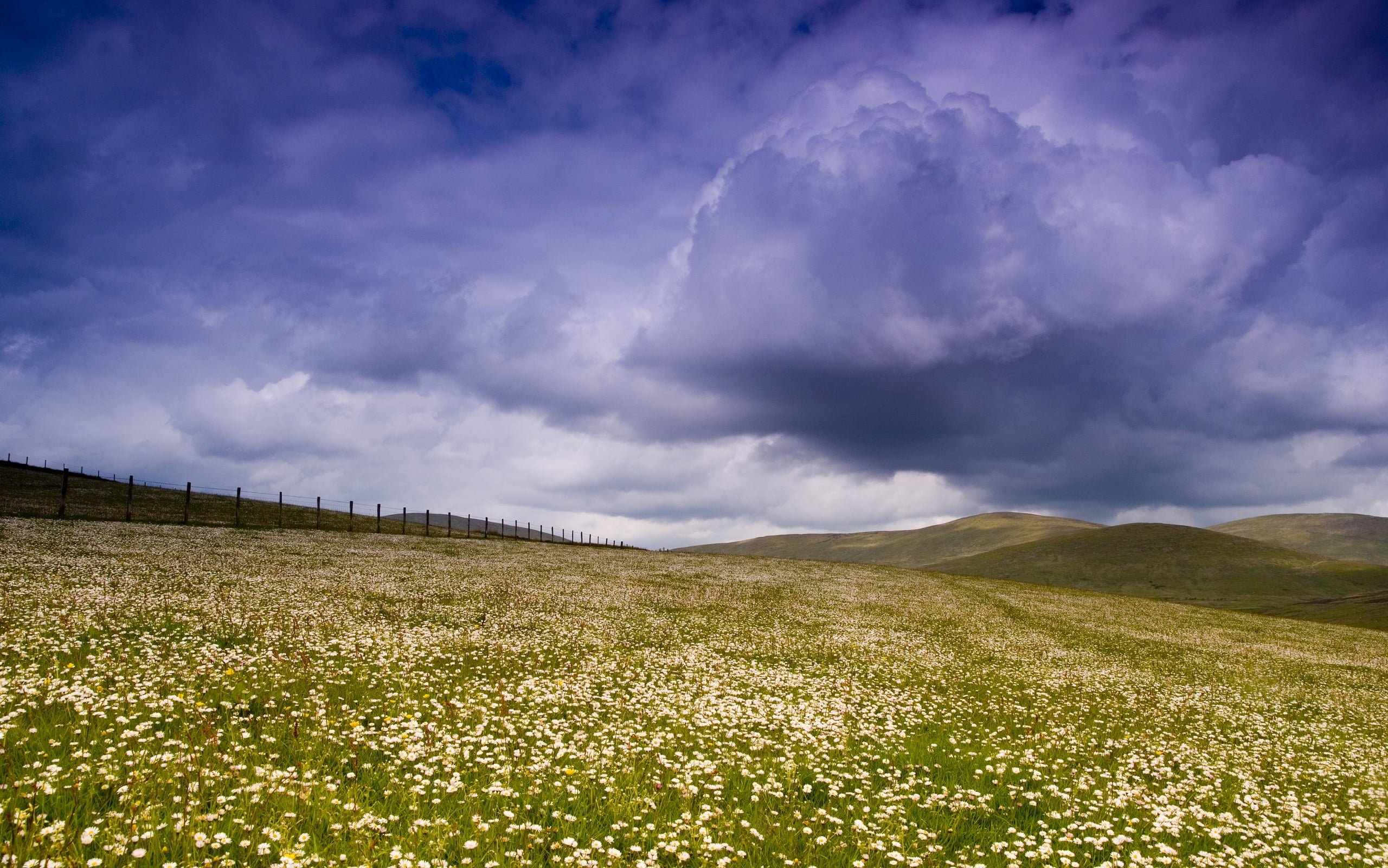 green and white grass field under gray and black cloudy sky