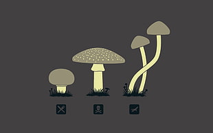 Mushroom illustrations HD wallpaper