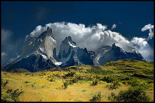 green leafed tree, mountains, Chile, nature, clouds
