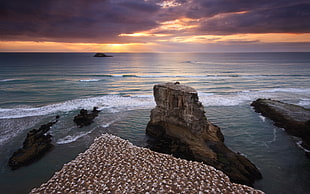 rock structure, beach, coast, sea, sky HD wallpaper