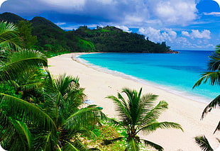 seashore beach