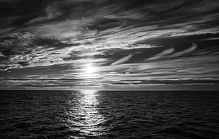grayscale photography of sea, svalbard