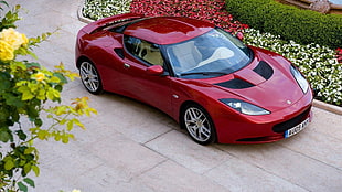 photo of red coupe parked beside bed of flowers
