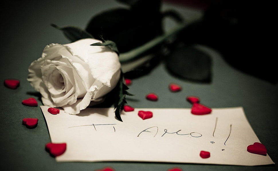 Rose,  Note,  Hearts,  Romance HD wallpaper