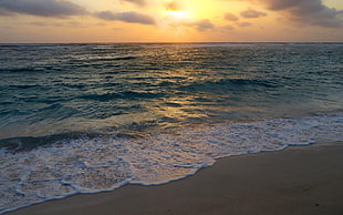 seawave under golden hour, Aruba, beach, sea, sky