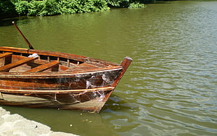 brown wooden boat HD wallpaper