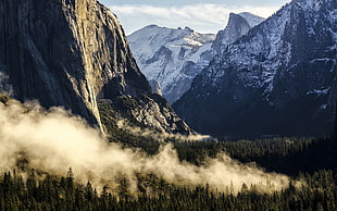 green pine trees, Yosemite National Park, Apple Inc., mountains, mist