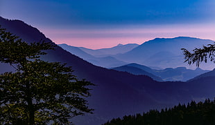 silhouette of mountains and trees, blue mountains