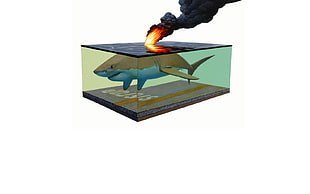 black and blue wooden table, shark, fire, surreal, stop sign