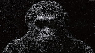 illustration photo of ape HD wallpaper