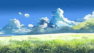 green grass field, Makoto Shinkai , 5 Centimeters Per Second, field, clouds HD wallpaper