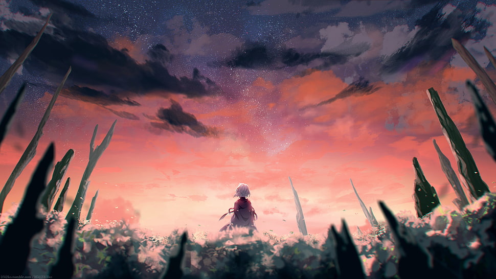anime wallpaper, landscape, sky, red, sunset HD wallpaper
