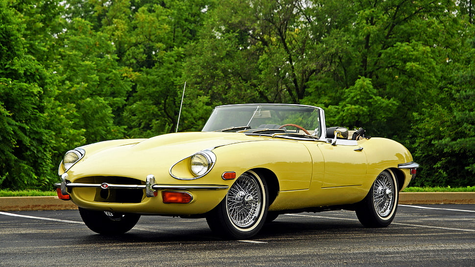 yellow convertible coupe on black concrete road at daytime HD wallpaper