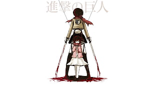 Mikasa from Attack on Titan, Shingeki no Kyojin, Mikasa Ackerman HD wallpaper
