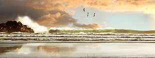 brown and white house near body of water painting, beach, waves, birds, sea