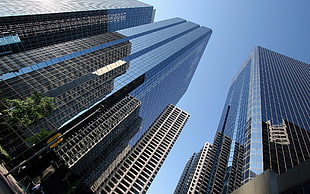 worm's eyeview of a high rise buildings