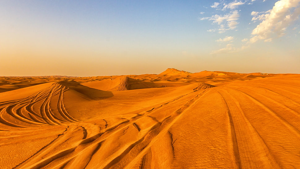 photo of desert during daytime HD wallpaper