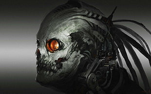 gray robot illustration, skull, robot, cyborg, artwork