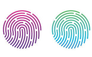 two purple and blue fingerprint illustration, minimalism, white background, fingerprints, white