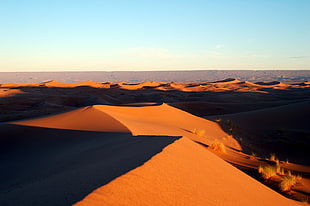 desert field during golden hour photo HD wallpaper